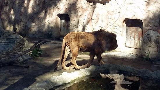 el Parque Zoológico Prudencio Navarro