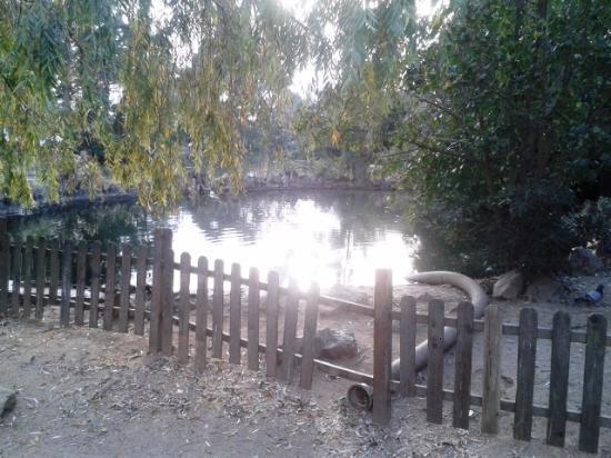el Parque de Los Hermanos Gabrielistes