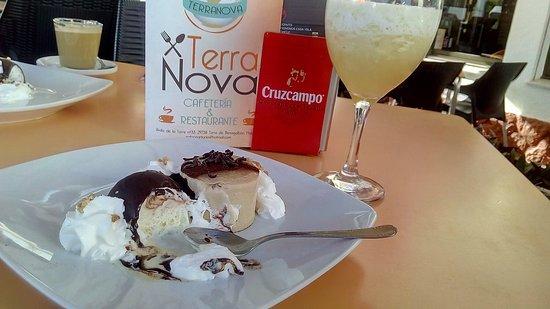 Terranova 33