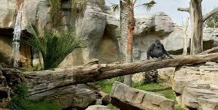 Bioparc Fuengirola