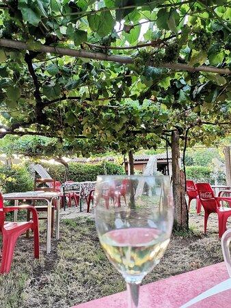 Bodega Bouzabella
