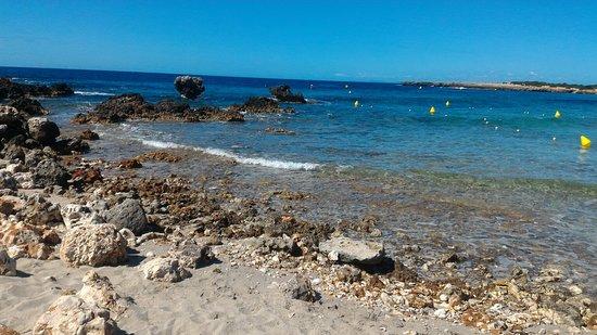 la Platja de Son Xoriguer