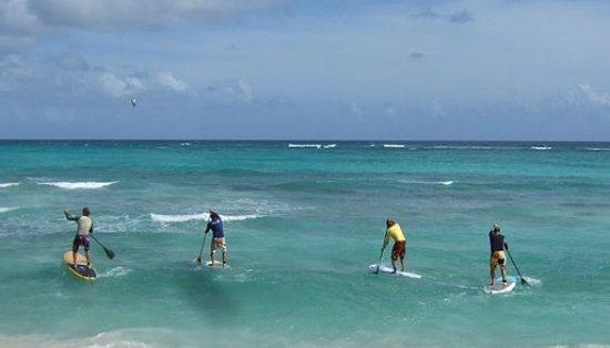 Paddlesurf Estepona