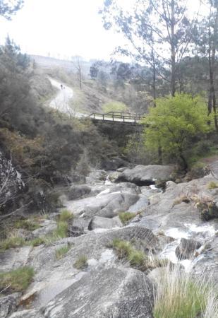 Fervenza do Cadarnoxo