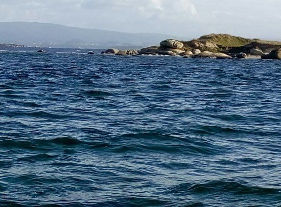 la Ría de Arousa