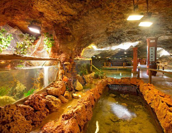 el Acuario Cap Blanc