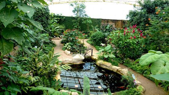 Mariposario de Benalmádena