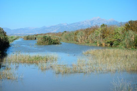 el Parque Natural de S'Albufera