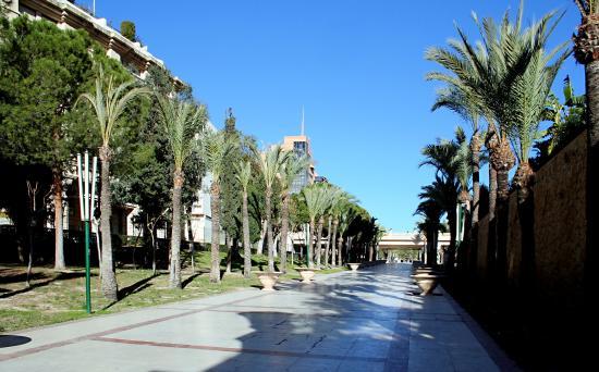 el Parque de l'Aigüera