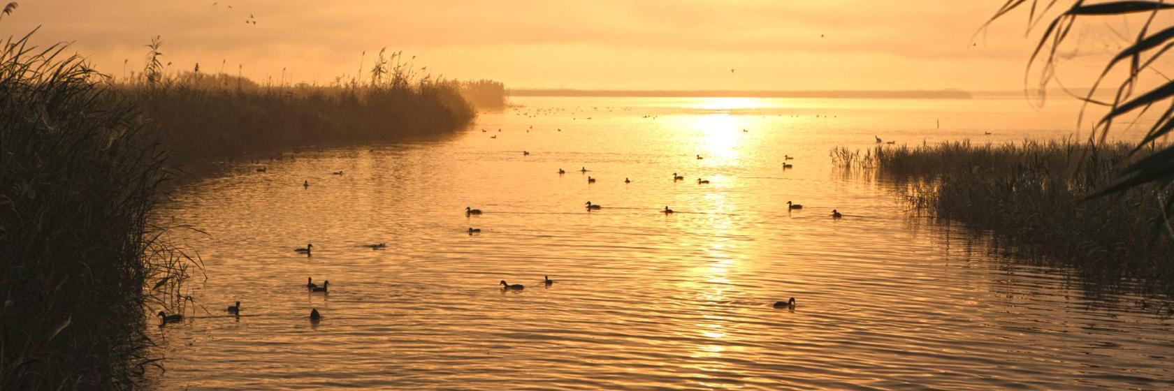 Delta del Ebro